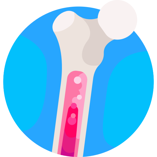 bone and joints doctor